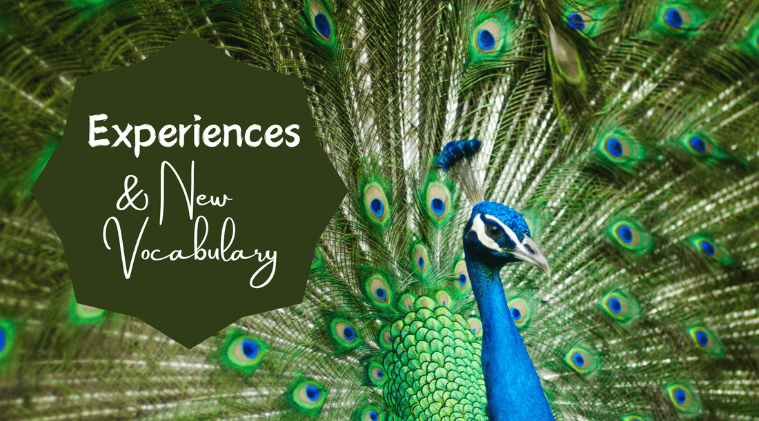 Peacock with bright green feathers